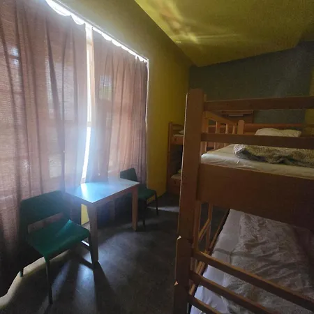 Treestyle Hostel-3